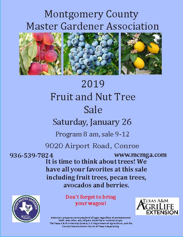 January Fruit And Nut Tree Flyer