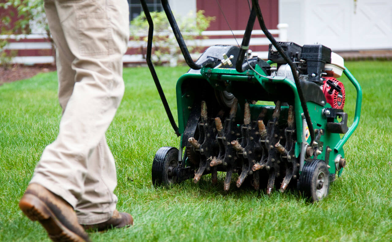 Core aeration service being performed on a residential lawn in Calgary by Algo Landscaping.