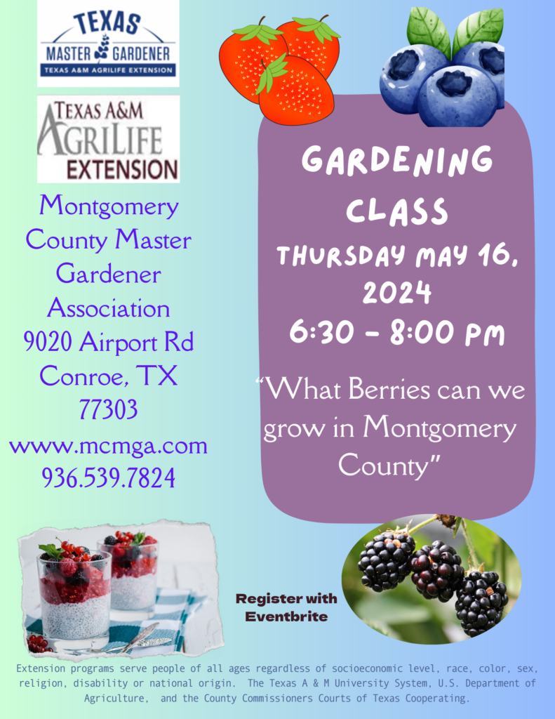 Gardening Class - 
Growing Berries in Montgomery County